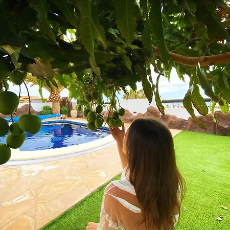 Anais Azul *